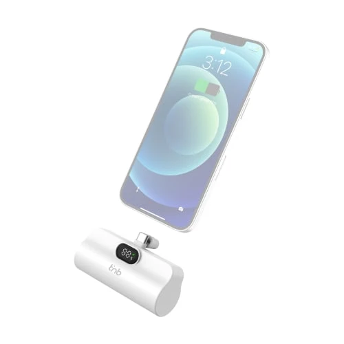 Batterie de secours 2 USB-C 5000 mAh PD 20W nano