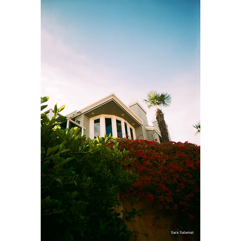 Appareil argentique EC35 35mm (Bleu Poudre)