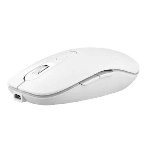Souris rechargeable sans fil 2 en 1