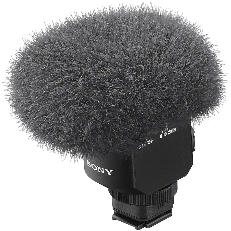 Microphone ECM-M1