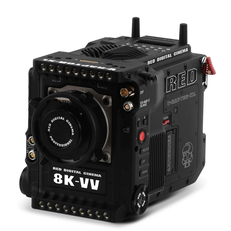 V-RAPTOR XL 8K VV (Monture Gold)