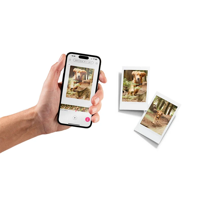 Imprimante Instax Mini Link 3 (Vert Sauge)