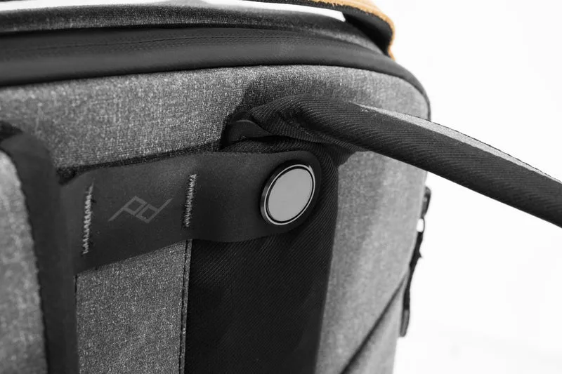 Sac à dos Everyday 20L V2 (Gris Charbon)