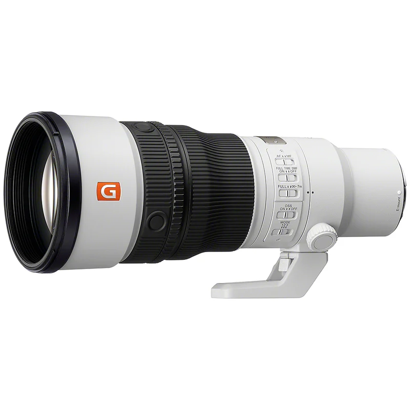 FE 600mm f/6.3 GM OSS