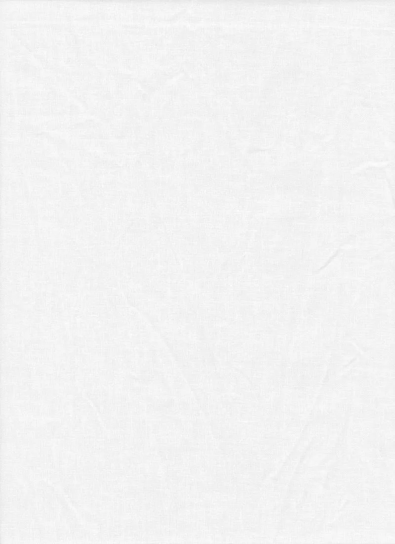 Toile de Fond Couleur Unie 10 x 12pi (Blanc)