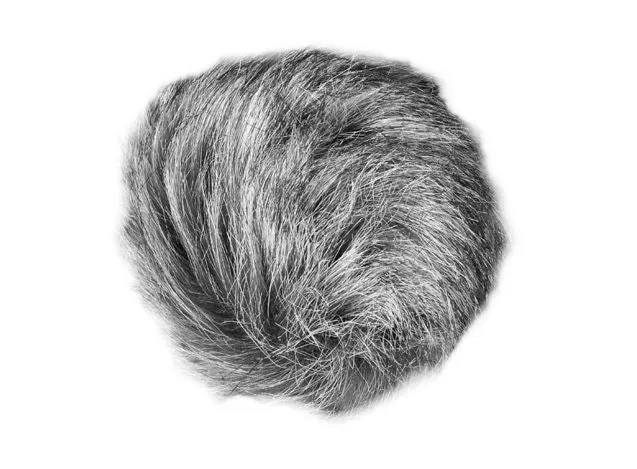 Pare-vent WSU-1