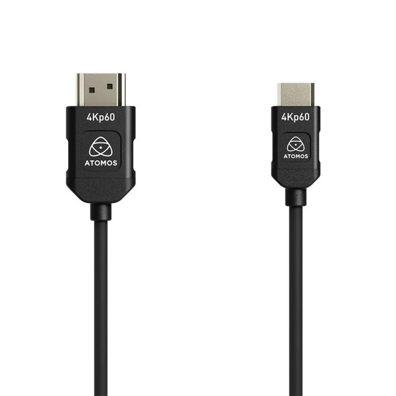 Câble HDMI à Mini HDMI (45cm)
