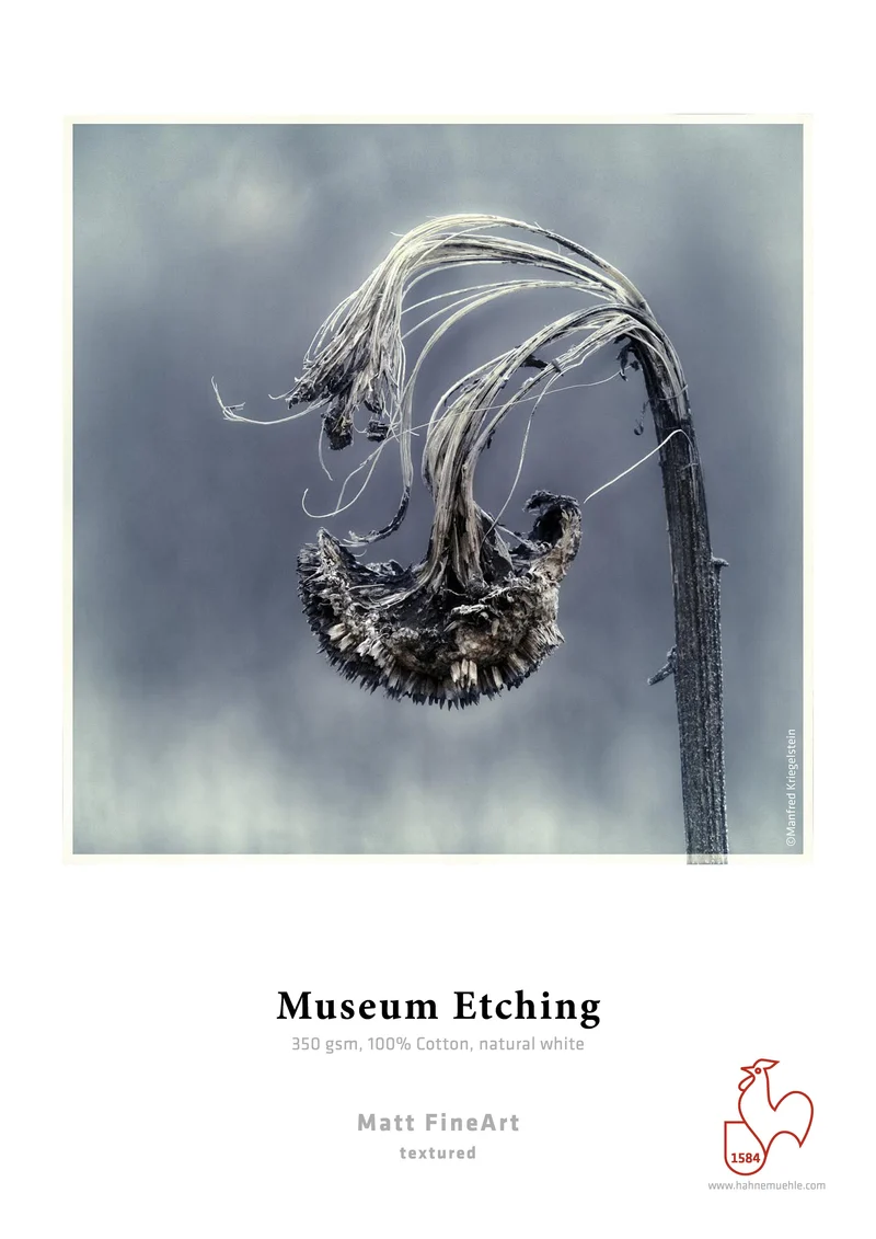 Papier Museum Etching 350gsm 17"x22" (25 feuilles)