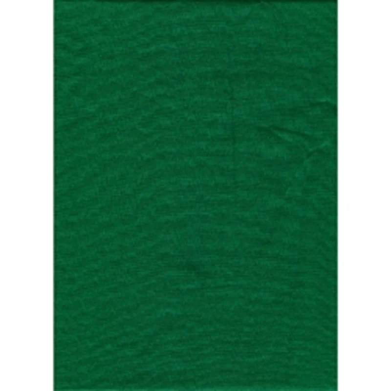 Toile de Fond Couleur Unie 10 x 12pi (Vert Chroma Key)