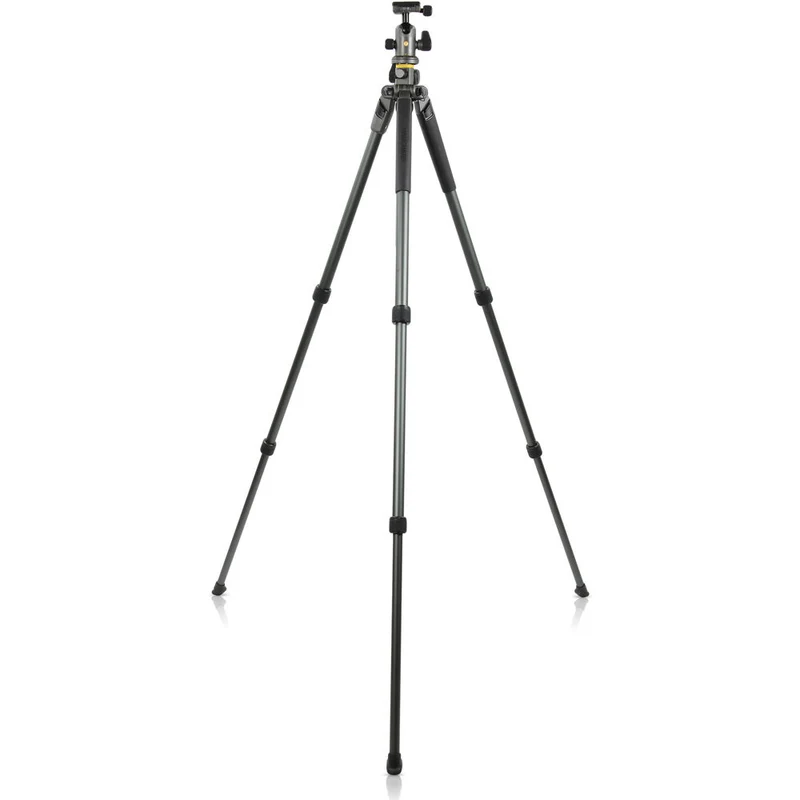 Trépied en Aluminium Alta Pro 2+ 263AB avec Tête Alta BH-100