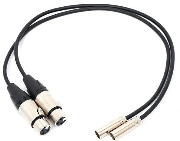 Câbles Mini XLR à XLR 19.5po (Paquet de 2)