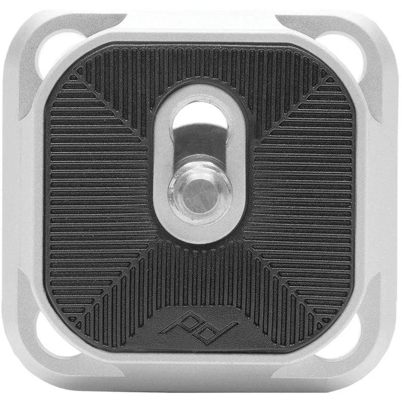 Capture (Argent)