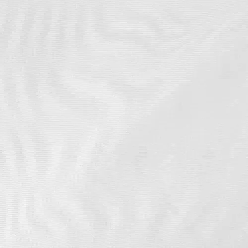 Toile de Fond Résistante aux Plis 10 x 12pi (Blanc)