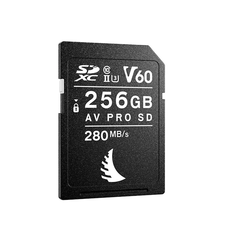 Carte Mémoire SDXC AV Pro MK2 UHS-II V60 256GB