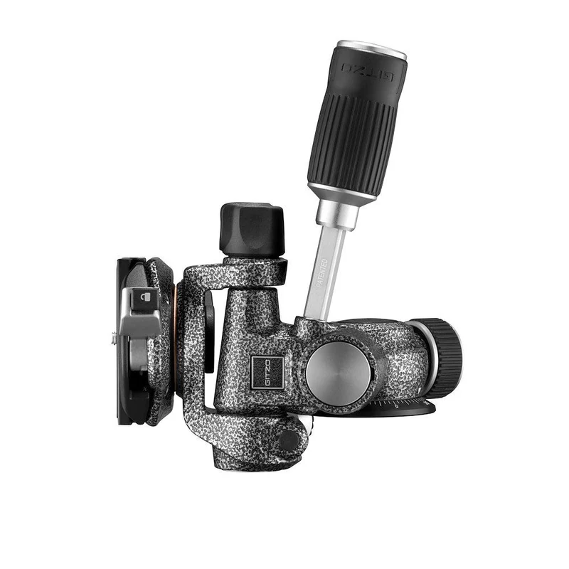 Tête Fluide 3D