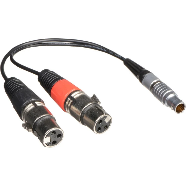 Câble d'Entrée XLR pour Shogun