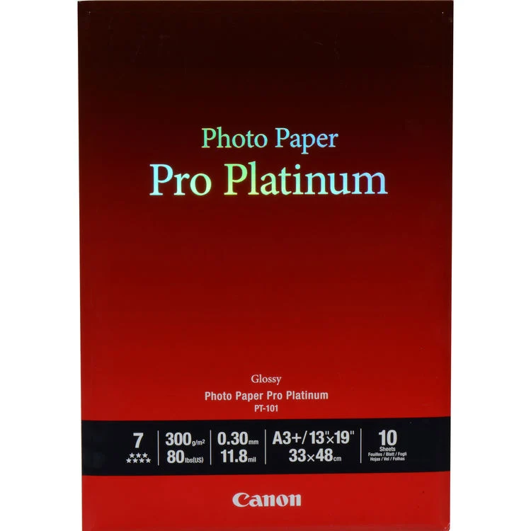 Papier Photo Pro Platinum 13x1po (10 Feuilles)