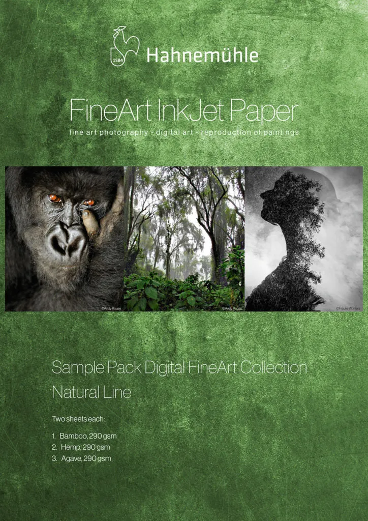 Échantillons de Papier Fibre Naturelle 13x19po (6 Feuilles)