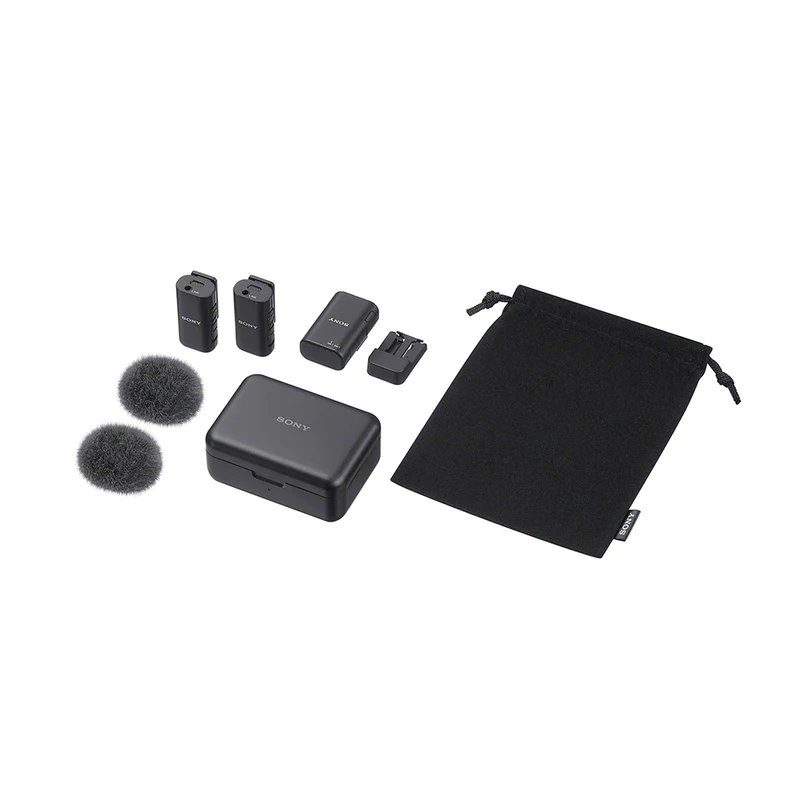 Microphone sans fil double ECM-W3