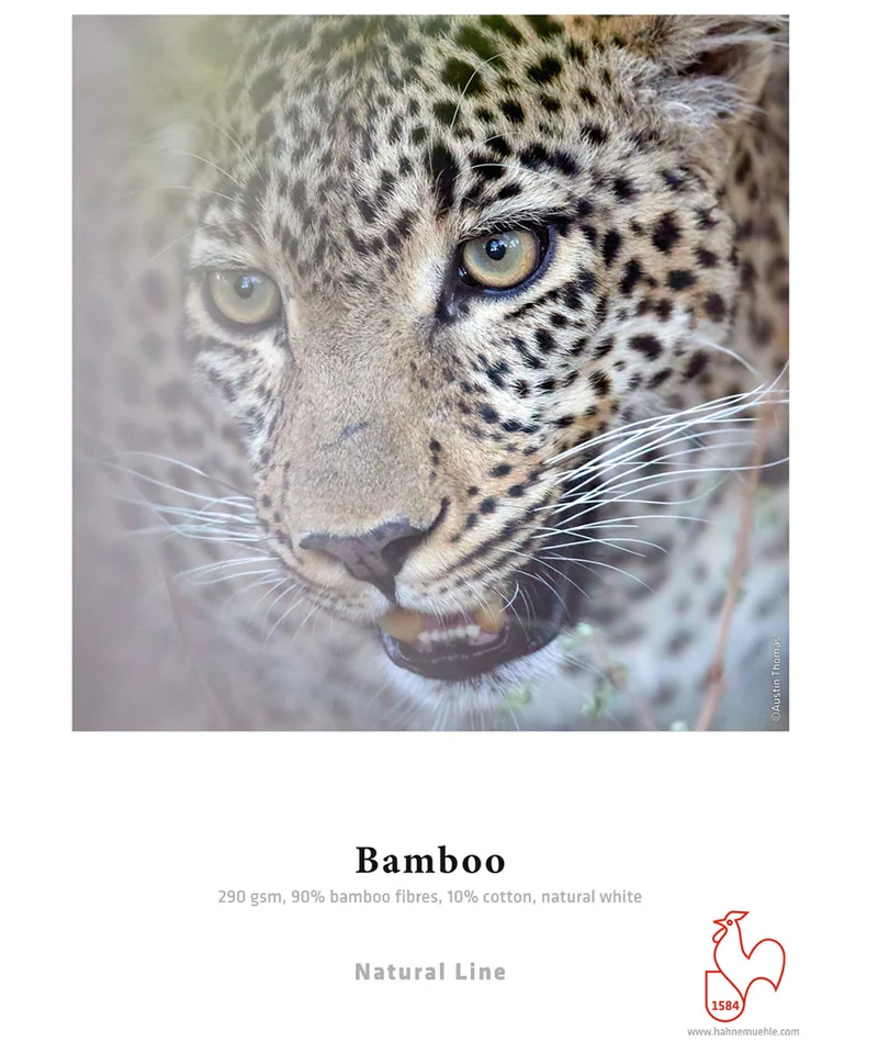 Papier Bamboo Fibre Naturelle 17x22po (25 Feuilles)