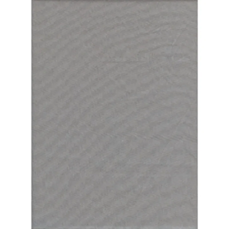 Toile de fond couleur solide 10 x 20pi (gris)
