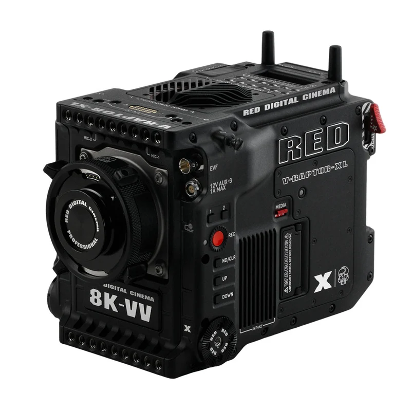 V-RAPTOR XL [X] 8K VV (Monture Gold)