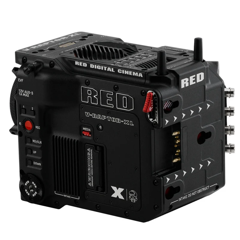 V-RAPTOR XL [X] 8K VV (Monture Gold)