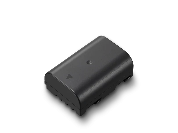 Pile DMW-BLF19 pour Panasonic
