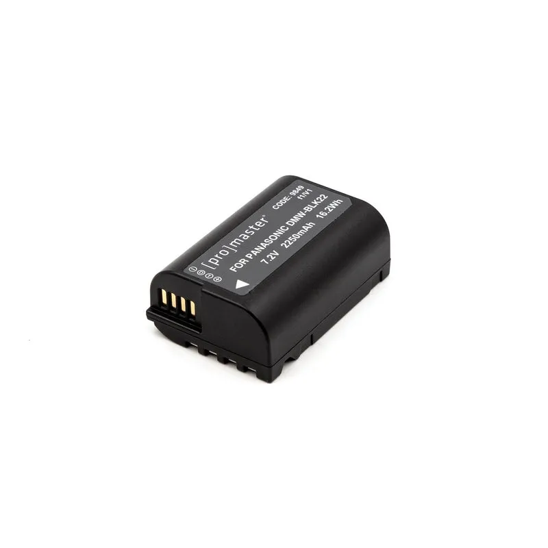 Pile DMW-BLK22 pour Panasonic