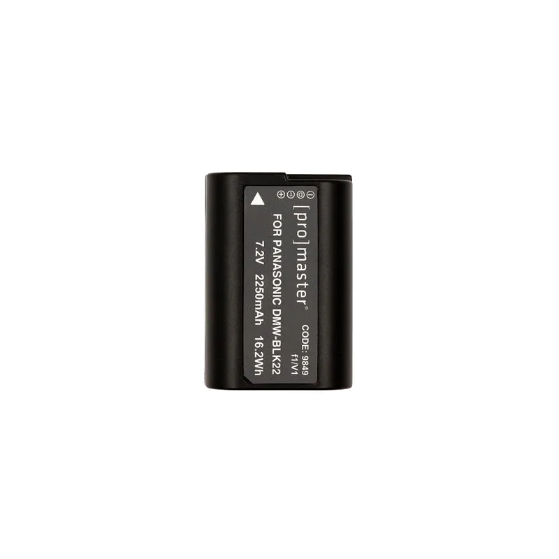 Pile DMW-BLK22 pour Panasonic